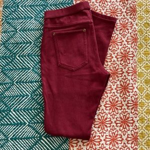Hue maroon jeggings